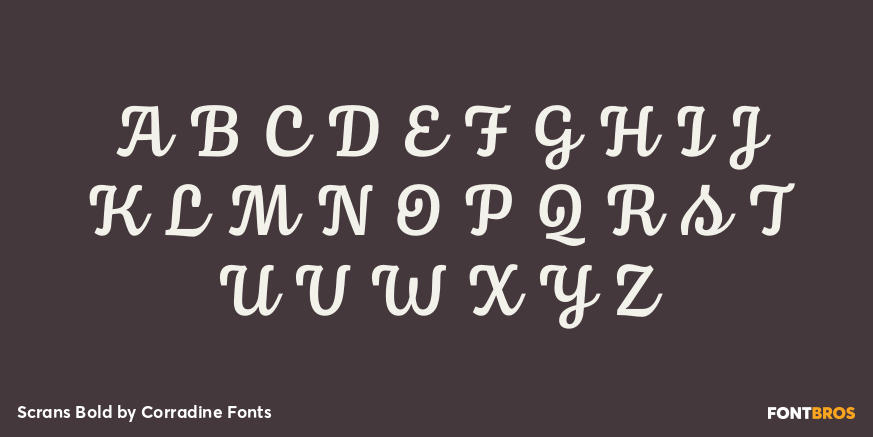 Scrans Bold Font Poster #2