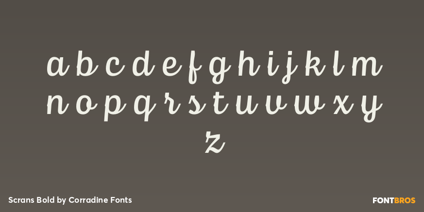 Scrans Bold Font Poster #3