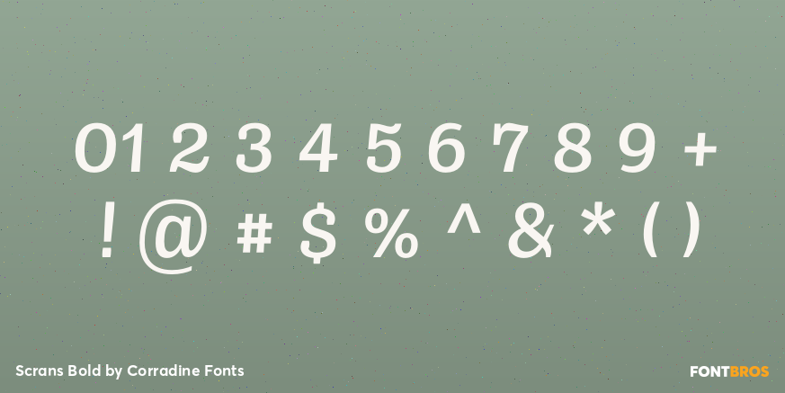 Scrans Bold Font Poster #4