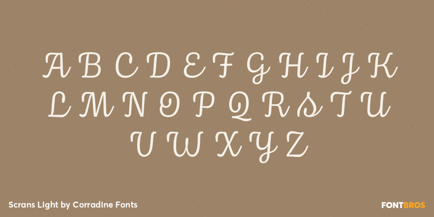 Scrans Light Font Poster #2