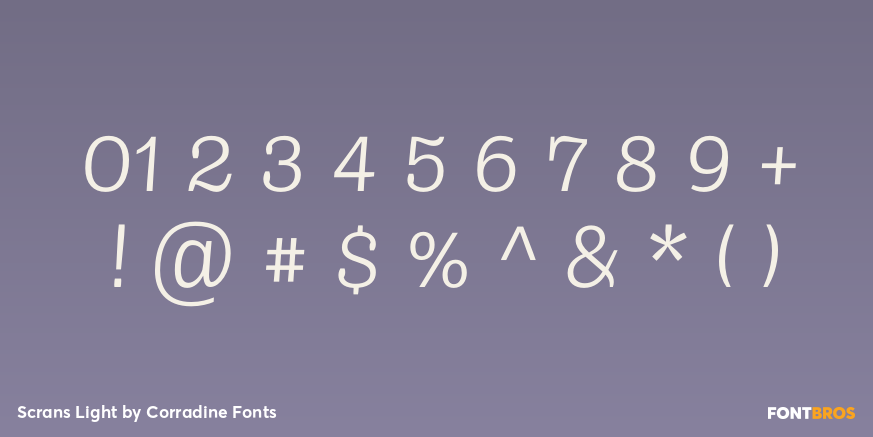 Scrans Light Font Poster #4