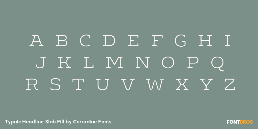 Typnic Headline Slab Fill Font Poster #2