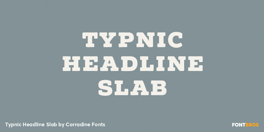 Typnic Headline Slab Poster