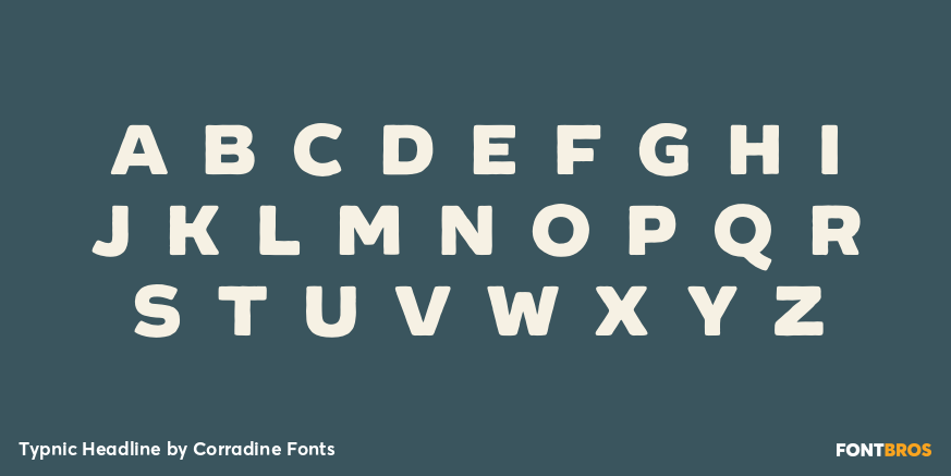 Typnic Headline Font Poster #1