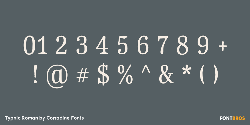 Typnic Roman Font Poster #1