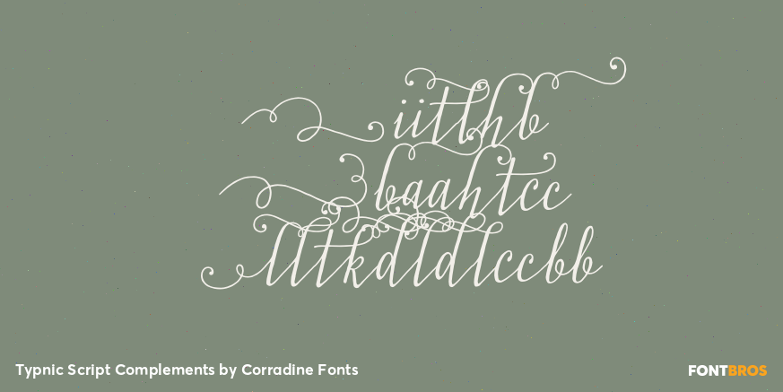 Typnic Script Complements Poster