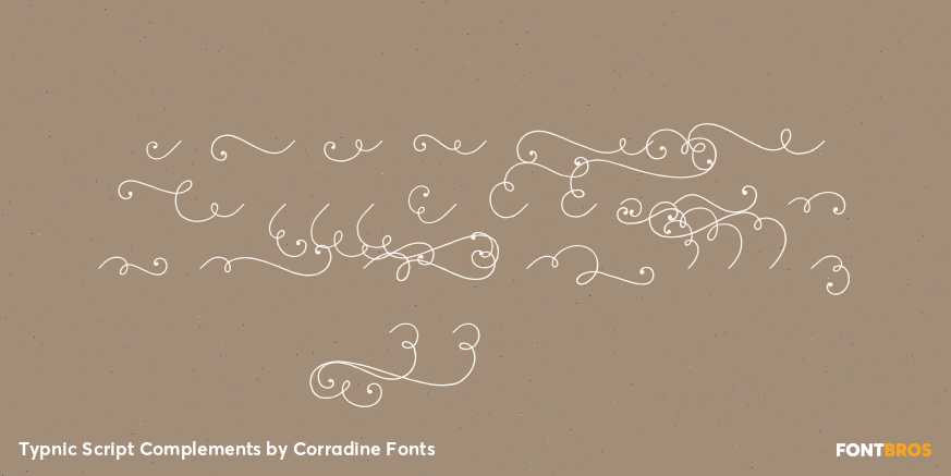 Typnic Script Complements Font Poster #2