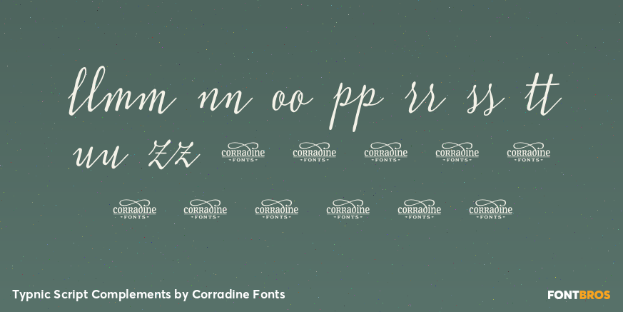 Typnic Script Complements Font Poster #4