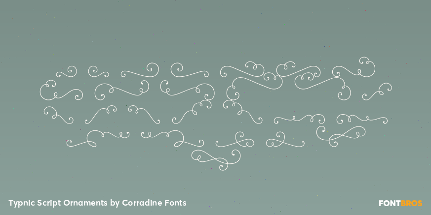 Typnic Script Ornaments Font Poster #2