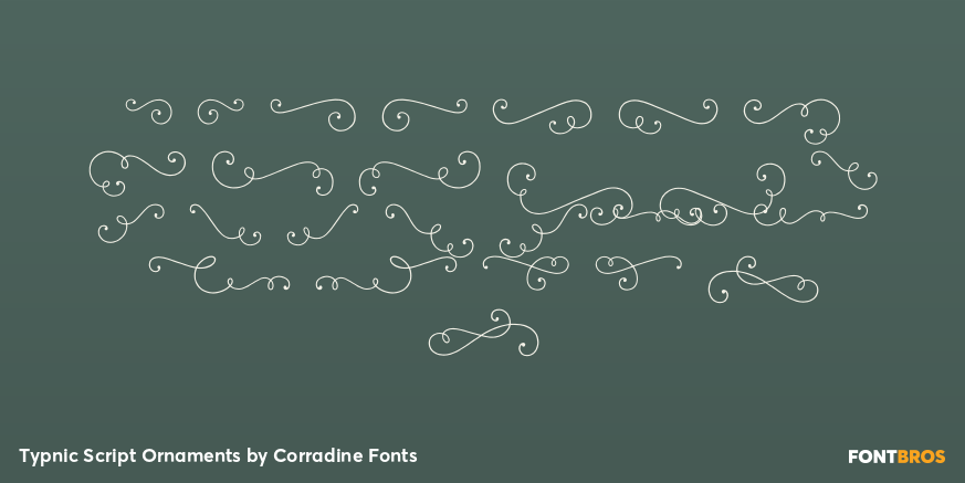 Typnic Script Ornaments Font Poster #3