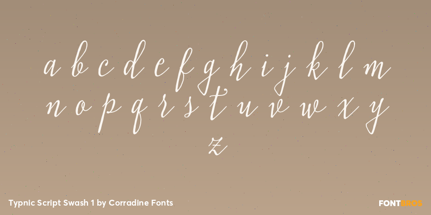 Typnic Script Swash 1 Font Poster #3
