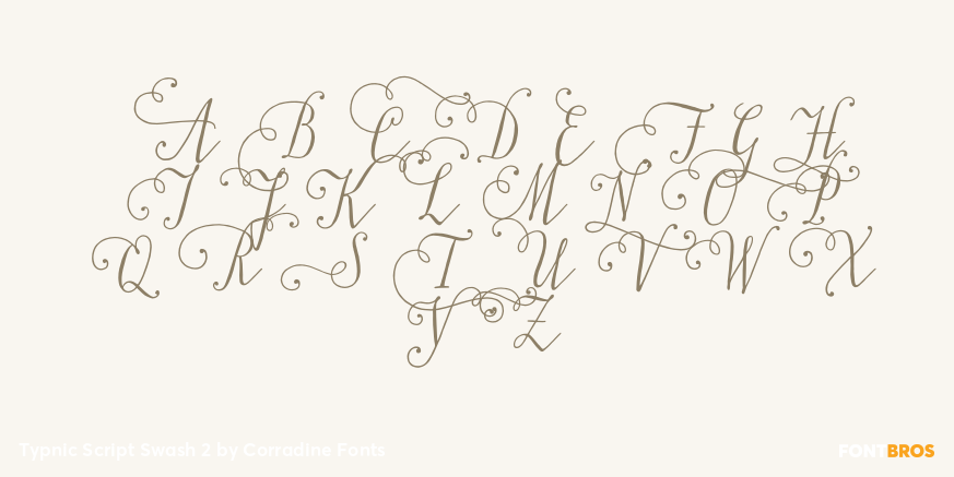 Typnic Script Swash 2 Font Poster #2