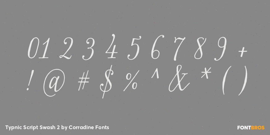 Typnic Script Swash 2 Font Poster #4