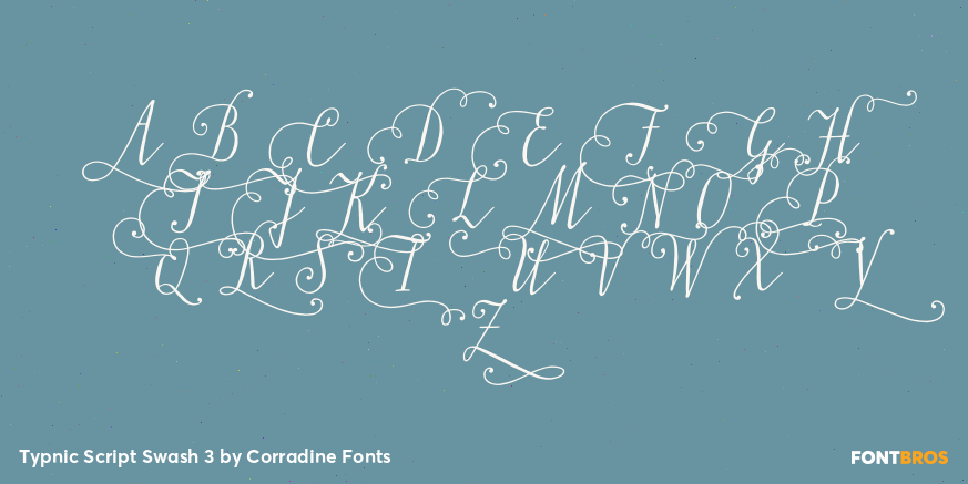 Typnic Script Swash 3 Font Poster #2