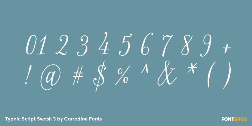 Typnic Script Swash 3 Font Poster #4
