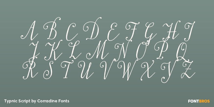 Typnic Script Font Poster #2