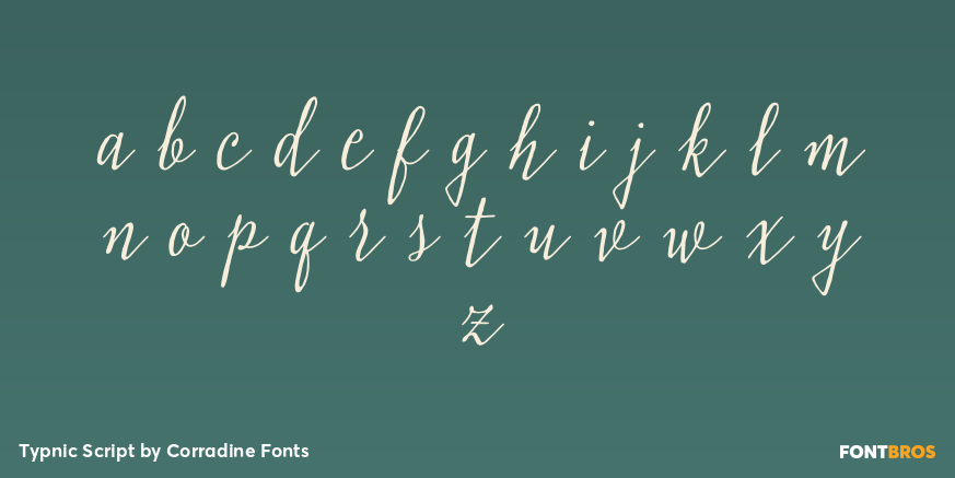 Typnic Script Font Poster #3