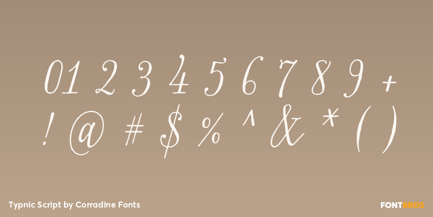 Typnic Script Font Poster #4
