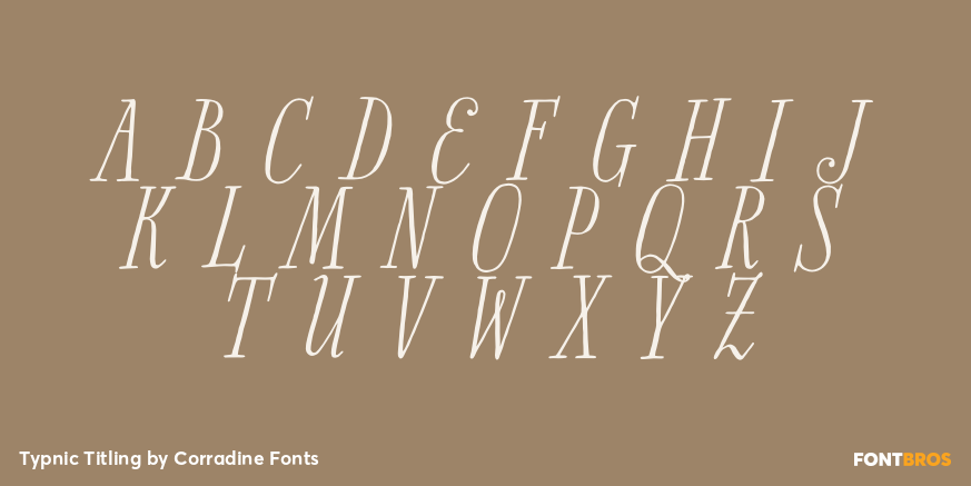Typnic Titling Font Poster #3