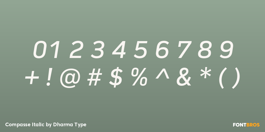 Compasse Italic Font Poster #4