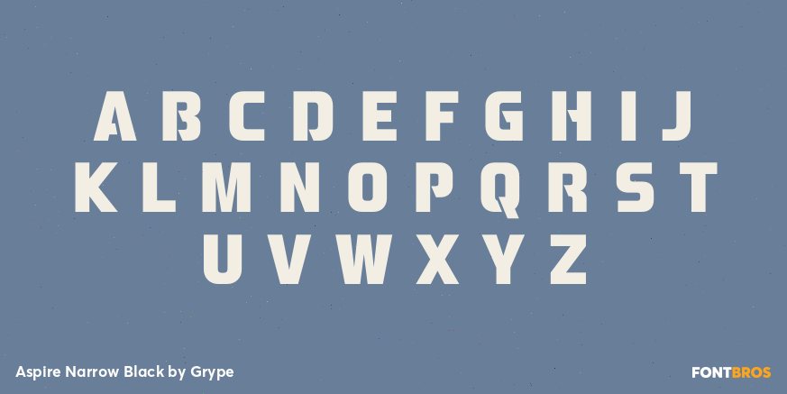 Aspire Narrow Black Font Poster #2