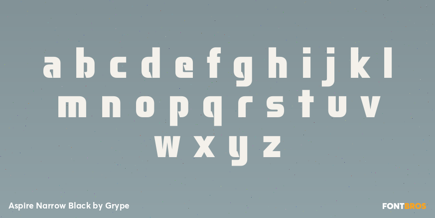 Aspire Narrow Black Font Poster #3