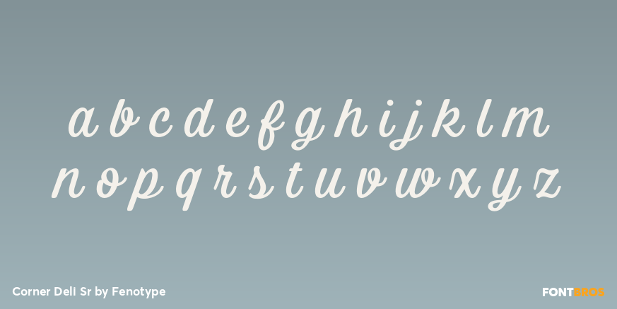 Corner Deli Sr Font Poster #3