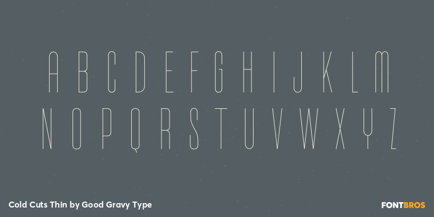 Cold Cuts Thin Font Poster #1