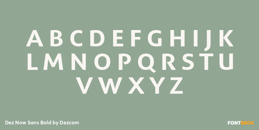 Dez Now Sans Bold Font Poster #2
