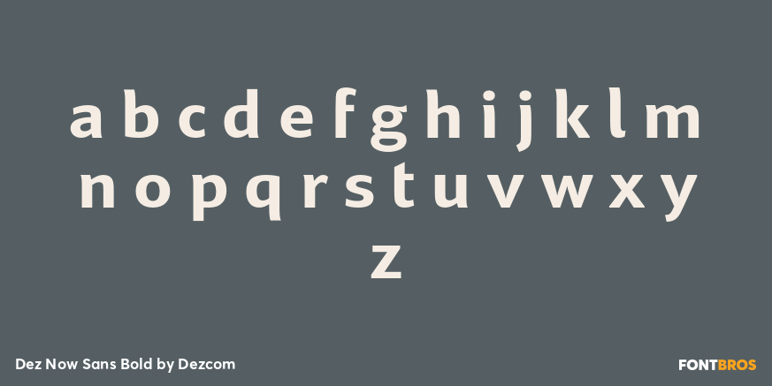 Dez Now Sans Bold Font Poster #3