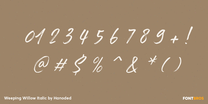 Weeping Willow Italic Font Poster #4