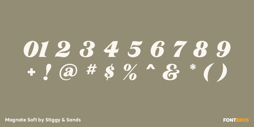 Magnate Soft Font Poster #1