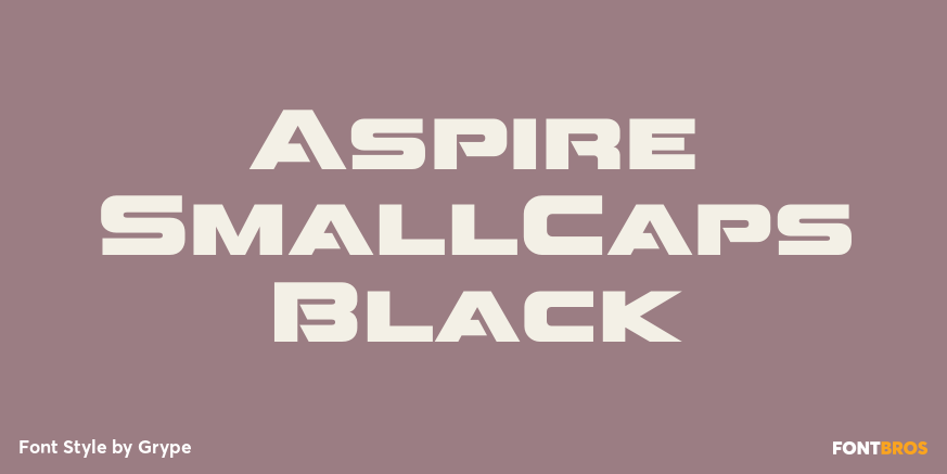 Aspire SmallCaps Black Poster
