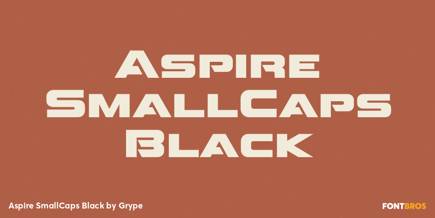 Aspire SmallCaps Black Poster