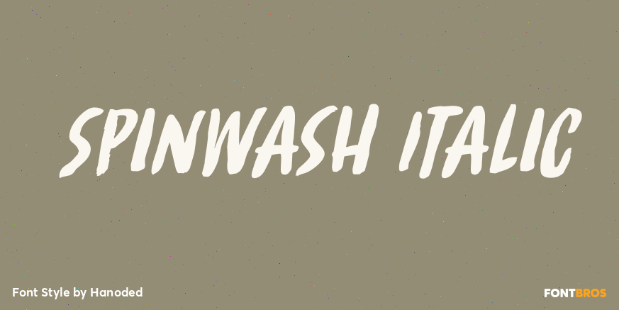 Spinwash Italic Font Poster #1