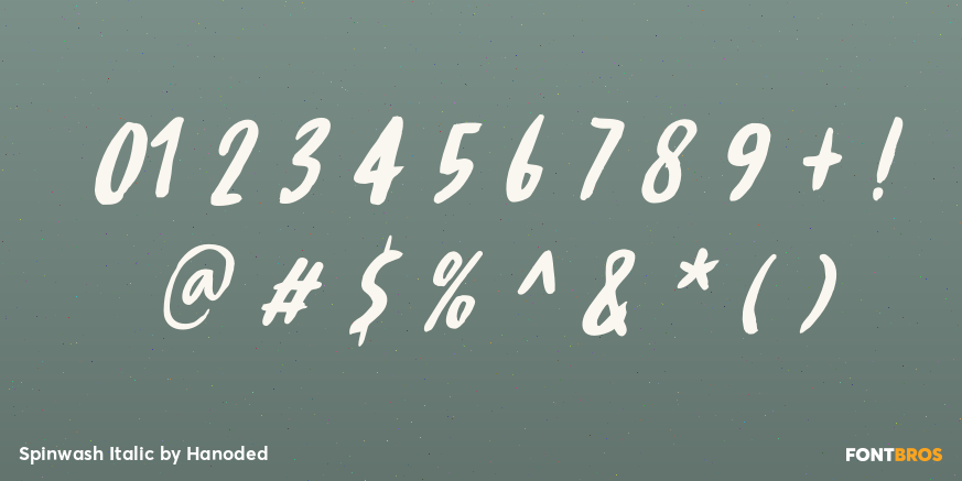 Spinwash Italic Font Poster #4