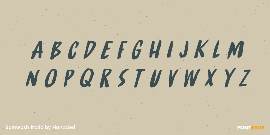 Spinwash Italic Font Poster #3