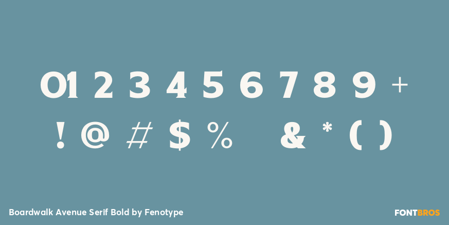 Boardwalk Avenue Serif Bold Font Poster #1