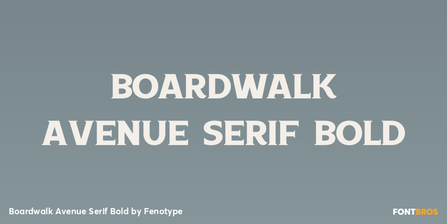 Boardwalk Avenue Serif Bold Font Poster #1