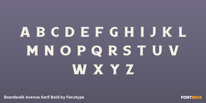 Boardwalk Avenue Serif Bold Font Poster #2