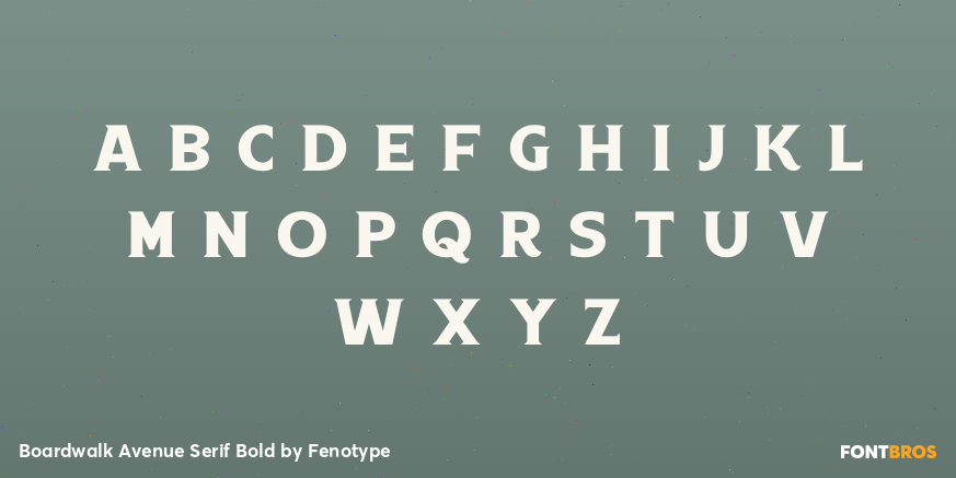 Boardwalk Avenue Serif Bold Font Poster #3