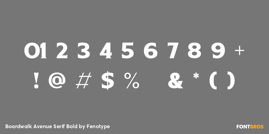 Boardwalk Avenue Serif Bold Font Poster #4