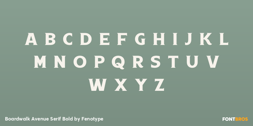 Boardwalk Avenue Serif Bold Font Poster #1