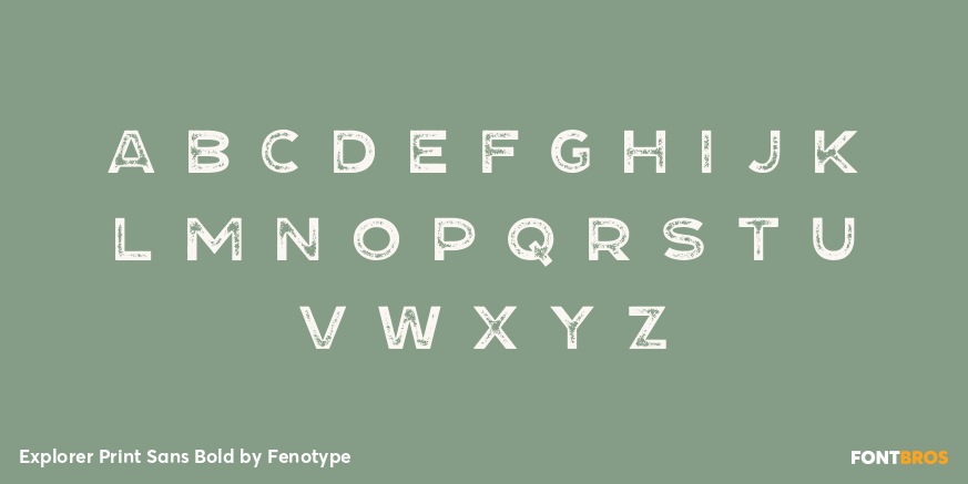 Explorer Print Sans Bold Font Poster #1
