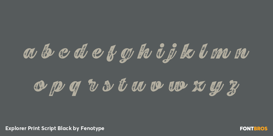 Explorer Print Script Black Font Poster #3