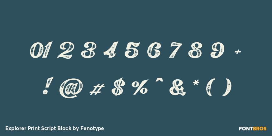 Explorer Print Script Black Font Poster #4