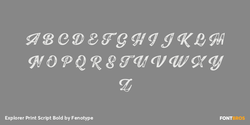 Explorer Print Script Bold Font Poster #2