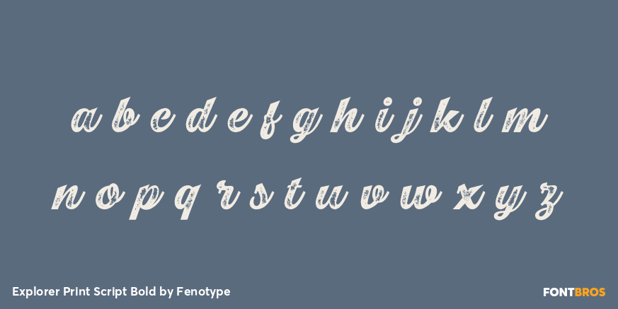 Explorer Print Script Bold Font Poster #3