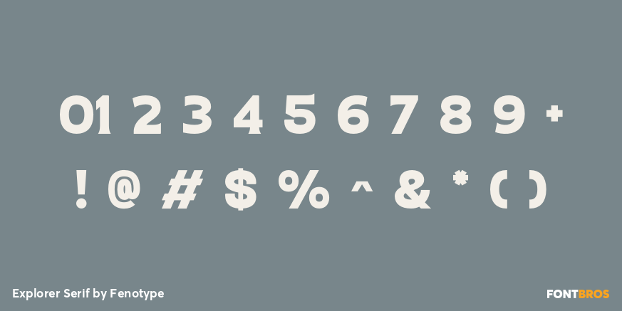 Explorer Serif Font Poster #1
