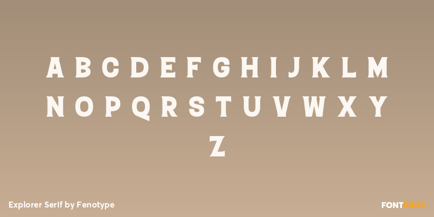 Explorer Serif Font Poster #3